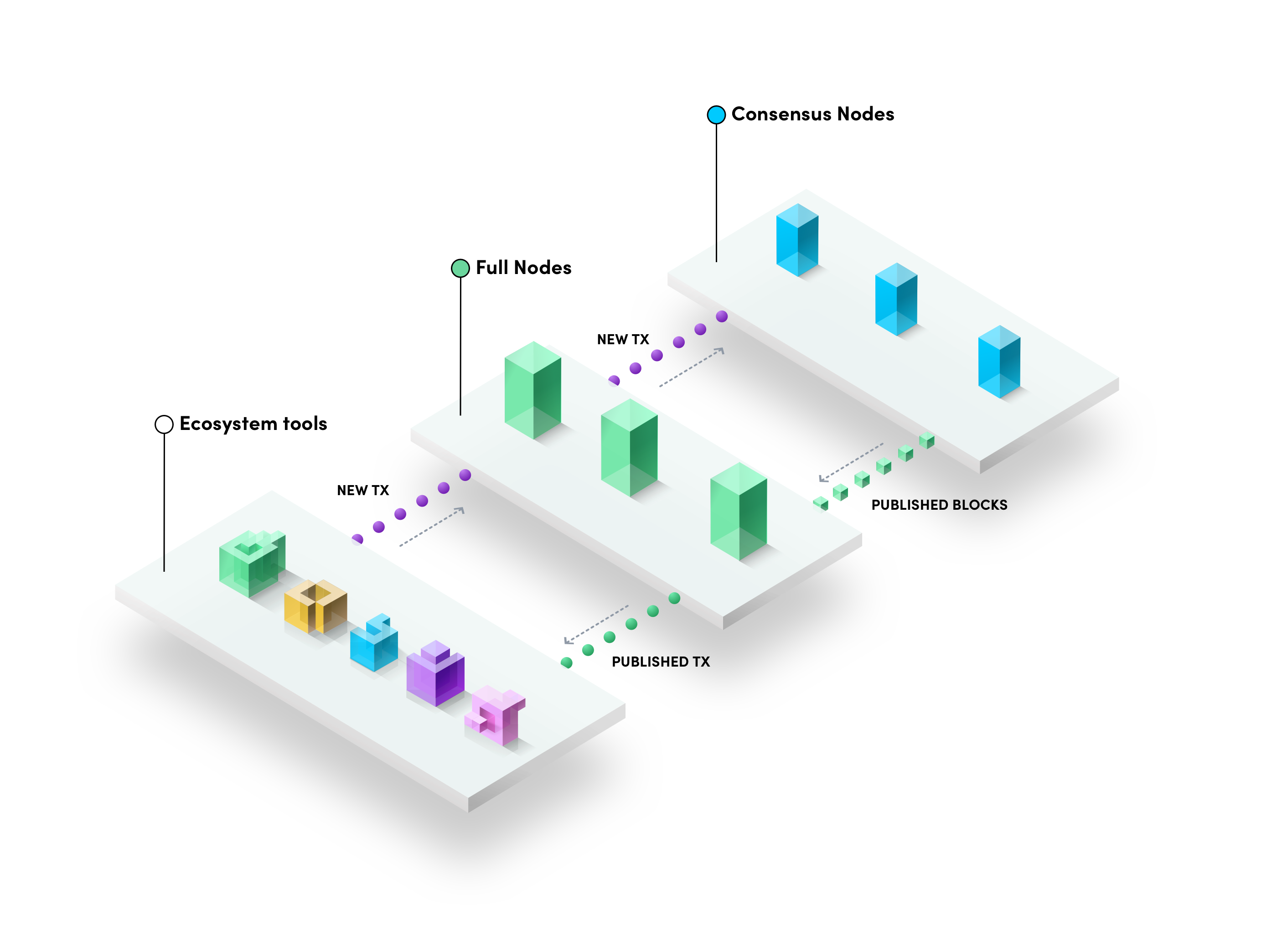 ecosystem
